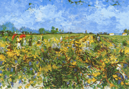 Green Vineyard